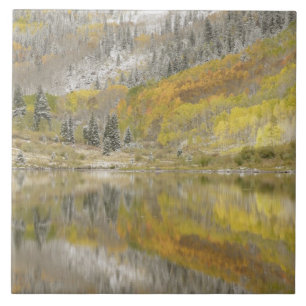 Carreau États-Unis, Colorado, White River National Forest