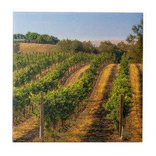 Carreau États-Unis, Est de Washington, Walla Walla Vineyar