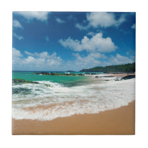 Carreau États-Unis, Kauai, Hawaï. Une Femme Promène Les