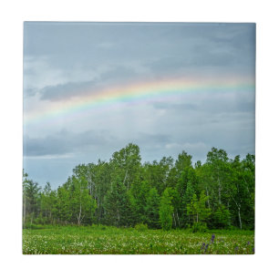 Carreau États-Unis, Minnesota. Prairie verte avec des fleu