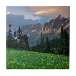 Carreau États-Unis, Montana, Parc national des Glaciers, 