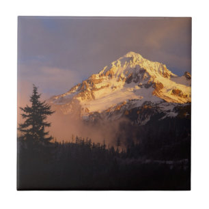 Carreau États-Unis, Oregon, Mt Hood National Forest