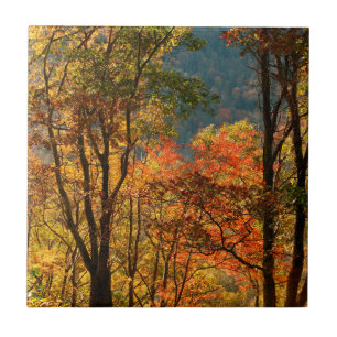 Carreau États-Unis, Tennessee. Feuillage d'automne