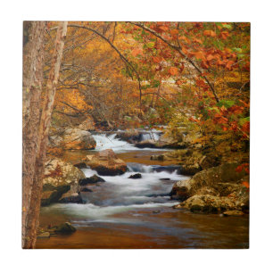 Carreau États-Unis, Tennessee. Rushing Mountain Creek