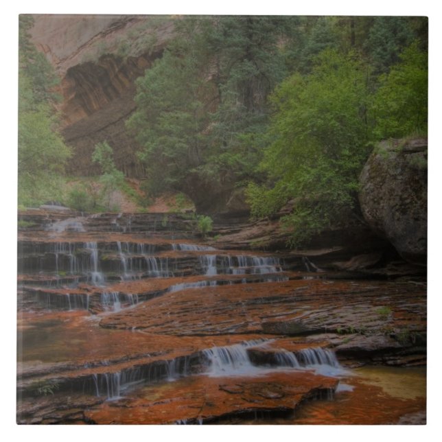 Carreau États-Unis, Utah, Zion National Park.  Pittoresque (Devant)