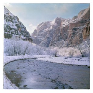 Carreau États-Unis, Utah, Zion NP. De nouvelles neiges re