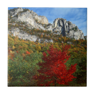 Carreau États-Unis, Virginie-Occidentale, Rochers de Spru