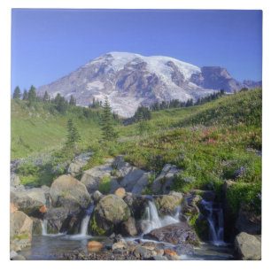 Carreau États-Unis, Washington, Mt. Rainier NP, Mt. Rainie