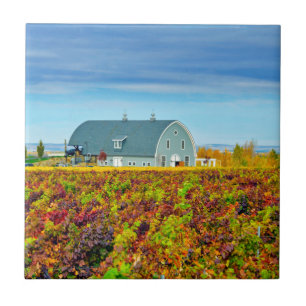 Carreau États-Unis, Washington, Walla Walla. Garrison Cree