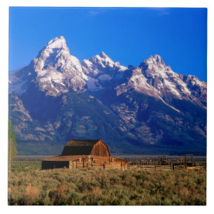 Carreau États-Unis, Wyoming, Parc national de Grand Teton,