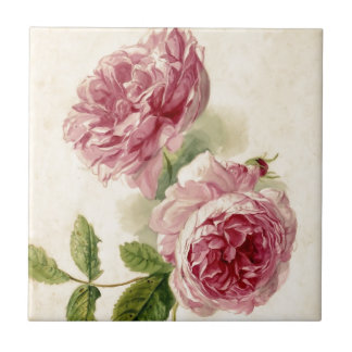 Carreau Étude du 18ème siècle de rose de rose