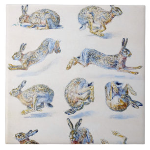 Carreau Études sur le lièvre sauvage (lapin), Bruno Lilj