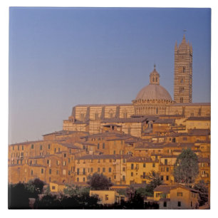 Carreau Europe, Italie, Toscane, Sienne. 13e siècle 3