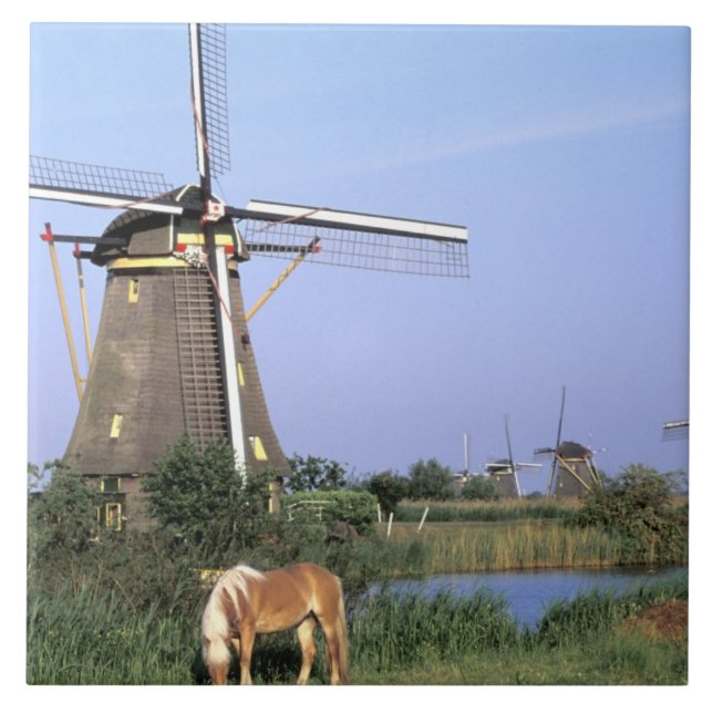 Carreau Europe, Pays-Bas, Zuid Holland, Kinderdijk.2 (Devant)
