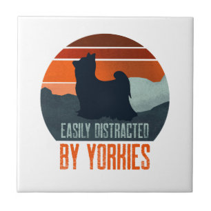 Carreau Facilement Distrait Par Les Promenades De Yorkshir
