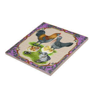 Carreau Famille Ameraucana encadrée