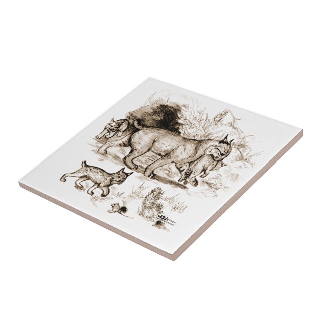 Carreau Famille Bobcat (Côté)