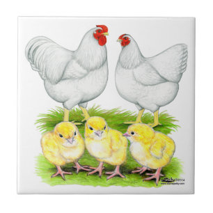 Carreau Famille de poules blanches Wyandotte