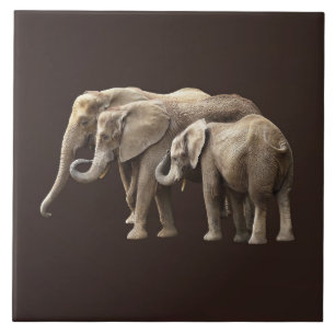 Carreau Famille d'éléphants