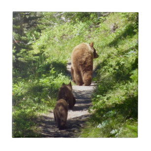 Carreau Famille d'ours Brown