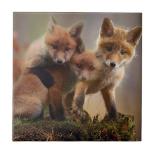 Carreau Famille mignonne de Fox