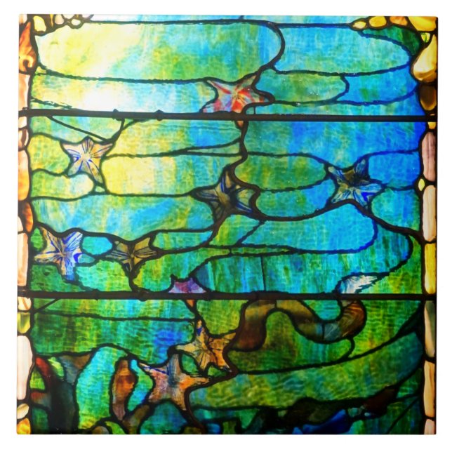 Carreau Fenêtre en verre tendu regardez la mer étoile (Devant)