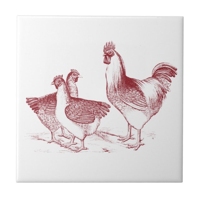 Carreau Ferme rustique poulet animaux cuisine (Devant)