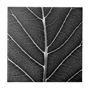 Carreau Fermeture de la feuille brillante noire et blanche