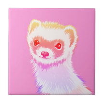 Ferret Sassy Aux Couleurs Arc-En-Ciel