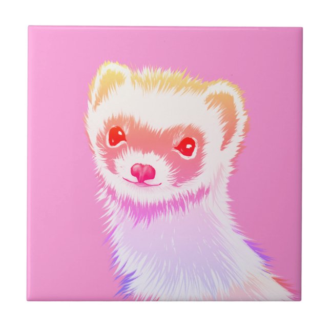 Carreau Ferret Sassy Aux Couleurs Arc-En-Ciel (Devant)