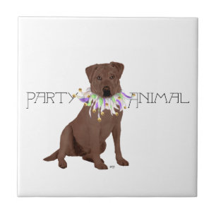 Carreau Fête de Labrador Retriever au Chocolat