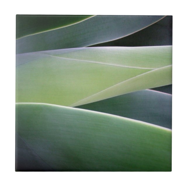 Carreau Feuille d'agave (Devant)