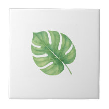 Feuille de Monstera Gren