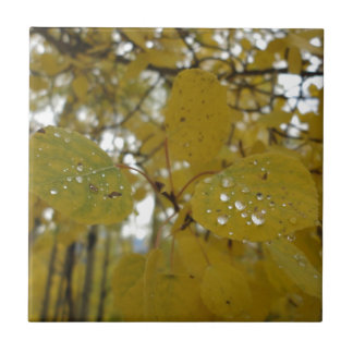 Carreau feuille de tremble