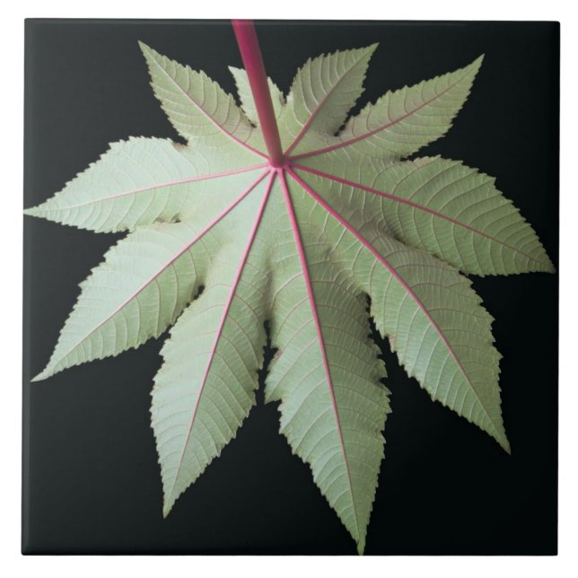 Carreau Feuille et tige (Devant)