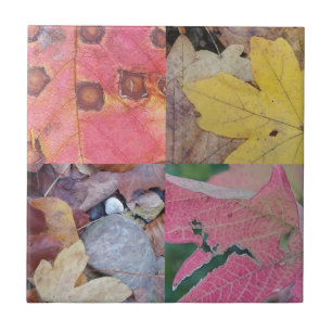Carreau Feuilles