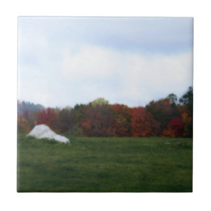 Carreau Feuilles d'automne Field Nature Carrelage d'art