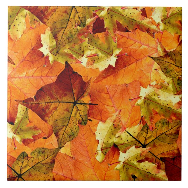Carreau Feuilles d'automne tombées (Devant)