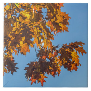 Carreau Feuilles d'automne vue céramique