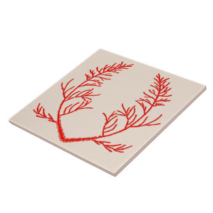 Carreau Feuilles de cèdre sur un carrelage en céramique be