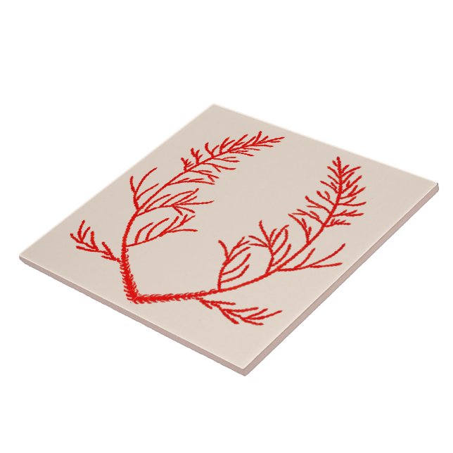 Carreau Feuilles de cèdre sur un carrelage en céramique be (Côté)