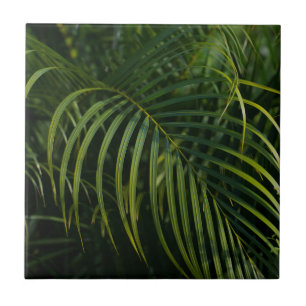 Carreau Feuilles de palmier vert foncé