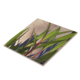 Carreau Feuilles et ombres