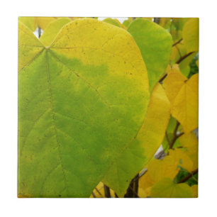 Carreau Feuilles jaunes et vertes de Cercis