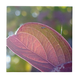 Carreau Feuilles Rouges Et Bokeh