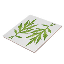 Carreau Feuilles sauvages sur un carrelage en céramique (2