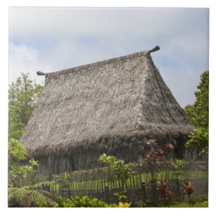Carreau Fidji, île de Viti Levu. Centre culturel polynésie