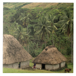 Carreau Fidji, Viti Levu, Navala, maisons traditionnelles