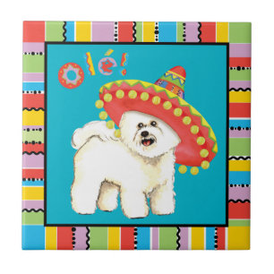 Carreau Fiesta Bichon