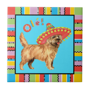 Carreau Fiesta Cairn Terrier